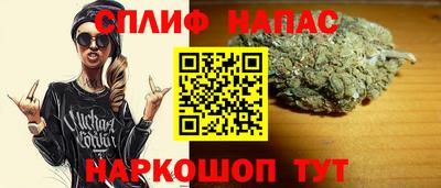 прущие грибы Партизанск