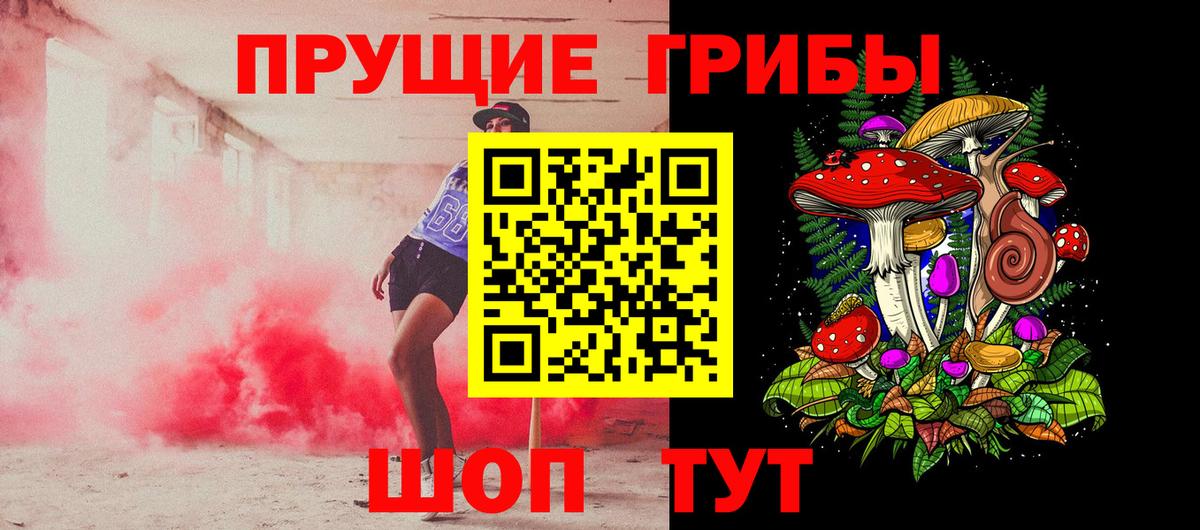 Рузаевка  Псилоцибиновые грибы Psilocybine cubensis  Вход с VPN 